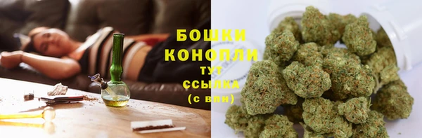 тгк Елабуга