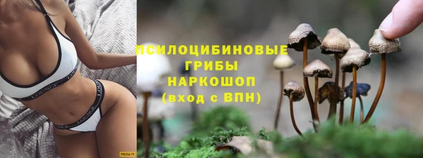 твердый Елизово
