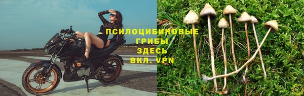 твердый Елизово
