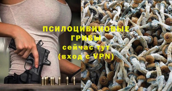 герыч Ельня