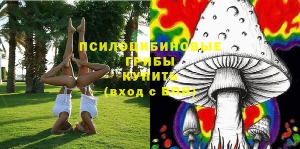 герыч Ельня