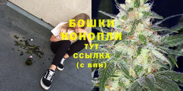 твердый Елизово