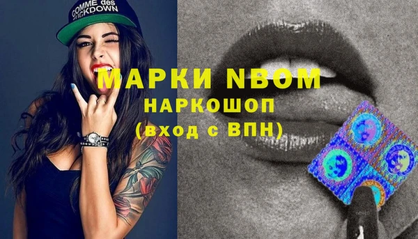 твердый Елизово