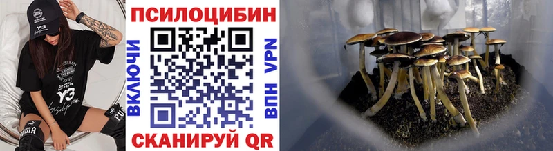 Псилоцибиновые грибы Psilocybine cubensis  Купить закладки  Ишимбай 