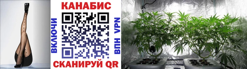 Купить где  Ишимбай  Бошки марихуана сатива 
